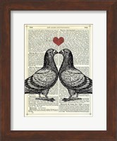 Framed Pigeons in Love