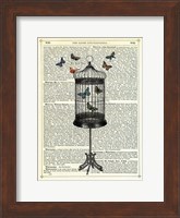 Framed Bird Cage & Butterflies