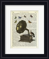 Framed Gramophone, Bird & Butterflies