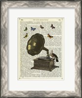 Framed Gramophone, Bird & Butterflies