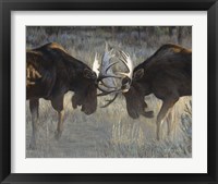 Framed Moose Challenge
