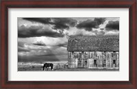 Framed Horse and Barn