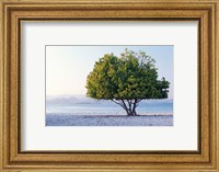 Framed Asia, Indonesia, Lesser Sunda Archipelago, Beach