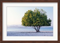 Framed Asia, Indonesia, Lesser Sunda Archipelago, Beach