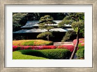 Framed Azaleas at the Imperial Palace East Gardens, Tokyo, Japan