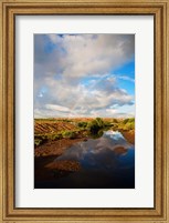 Framed Bali, Indonesia Suwung Waste dump, Serangan island