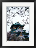 Framed Osaka Castle and Cherry Blossom Trees, Osaka, Japan