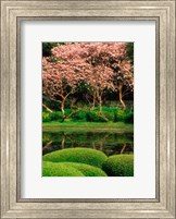 Framed Reflecting Pond, Imperial Palace East Gardens, Tokyo, Japan