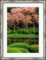 Framed Reflecting Pond, Imperial Palace East Gardens, Tokyo, Japan