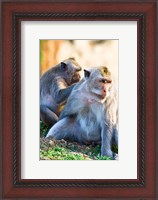 Framed Bali, Indonesia, monkeys run in the Uluwatu temple