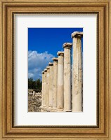 Framed Israel, Bet She'an National Park, Columns