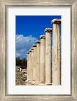 Framed Israel, Bet She'an National Park, Columns