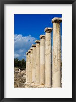 Framed Israel, Bet She'an National Park, Columns