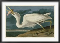 Framed Great White Heron