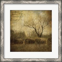 Framed Hayrollers