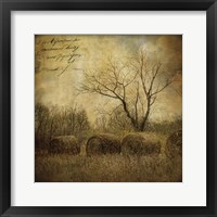 Framed Hayrollers