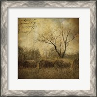 Framed Hayrollers