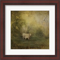 Framed Tendre Charolais