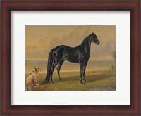 Framed America's Renowned Stallions, c. 1876 I