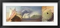 Framed Coastal Triptych II