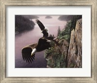 Framed Wings Over the St. Croix