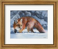 Framed Fox at the Pines