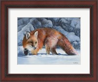 Framed Fox at the Pines