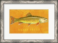 Framed Brook Trout