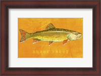 Framed Brook Trout