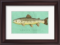 Framed Brown Trout
