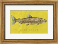 Framed Lake Trout