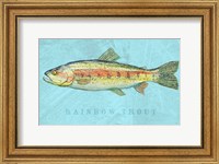 Framed Rainbow Trout