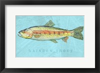 Framed Rainbow Trout