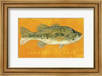 Framed Largemouth Bass