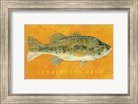 Framed Largemouth Bass