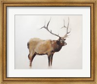 Framed Elk