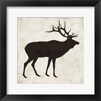 Elk Framed Print