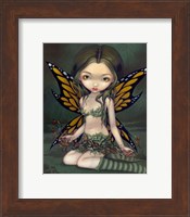 Framed Fairy with Dried Flowers