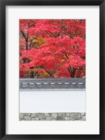 Framed Eikando Temple, Kyoto, Japan