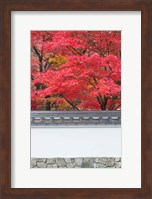 Framed Eikando Temple, Kyoto, Japan