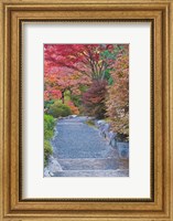 Framed Tenryuji Temple Garden, Sagano, Arashiyama, Kyoto, Japan