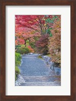 Framed Tenryuji Temple Garden, Sagano, Arashiyama, Kyoto, Japan