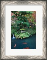 Framed Japanese Garden, Tokyo, Japan
