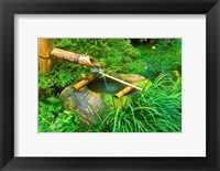 Framed Spring for Tea Ceremony, Sanzen-in Temple, Kyoto, Japan