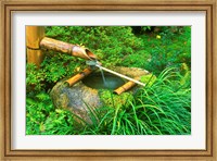 Framed Spring for Tea Ceremony, Sanzen-in Temple, Kyoto, Japan