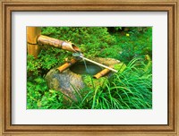 Framed Spring for Tea Ceremony, Sanzen-in Temple, Kyoto, Japan