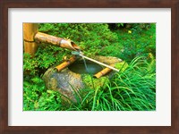 Framed Spring for Tea Ceremony, Sanzen-in Temple, Kyoto, Japan