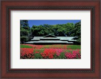 Framed Imperial Palace, Tokyo, Japan