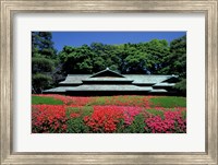 Framed Imperial Palace, Tokyo, Japan