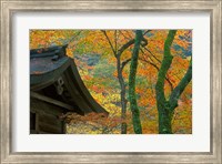 Framed Kibune Shrine, Kyoto, Japan